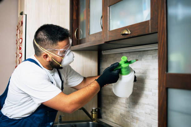 Best Termite Control Services  in Luling, TX