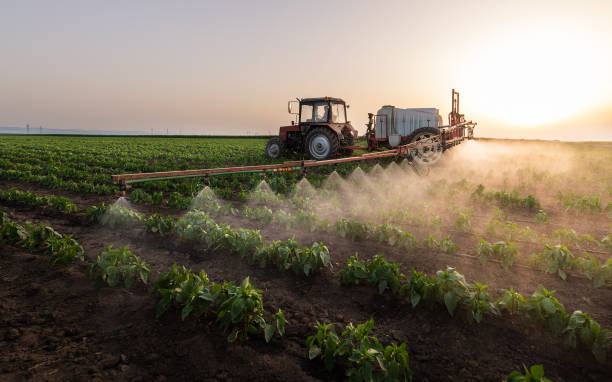 Best Cockroach Control Services  in Luling, TX