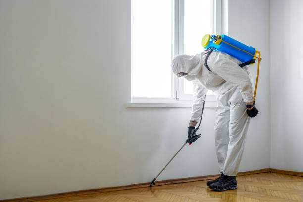 Best Best Pest Control Companies  in Luling, TX