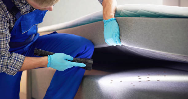 Best Affordable Pest Control Services  in Luling, TX