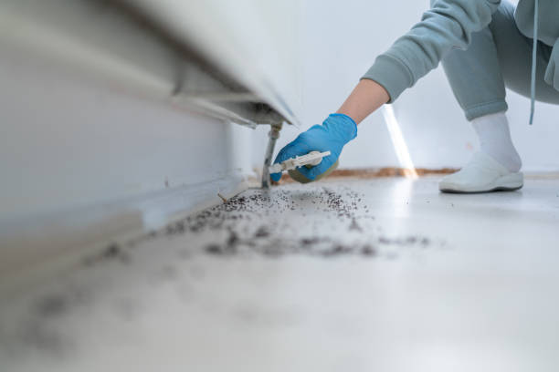 Best Pest Control for Homes  in Luling, TX